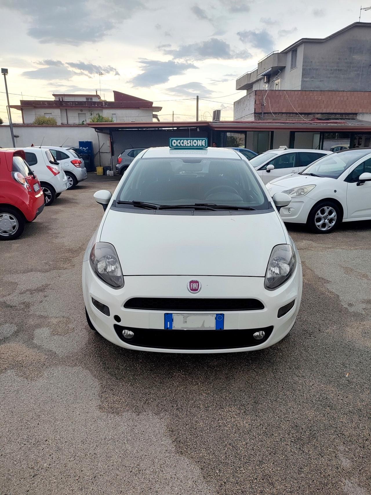 Fiat Punto 1.4 5 porte Natural Power Lounge 77cv