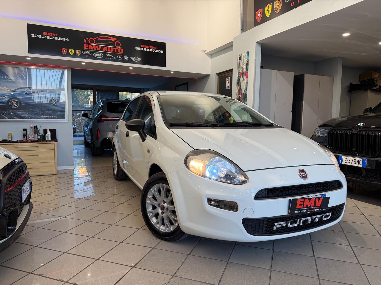 Fiat Punto 1.3 MJT II 75 CV 5 porte Street ok neopatentati