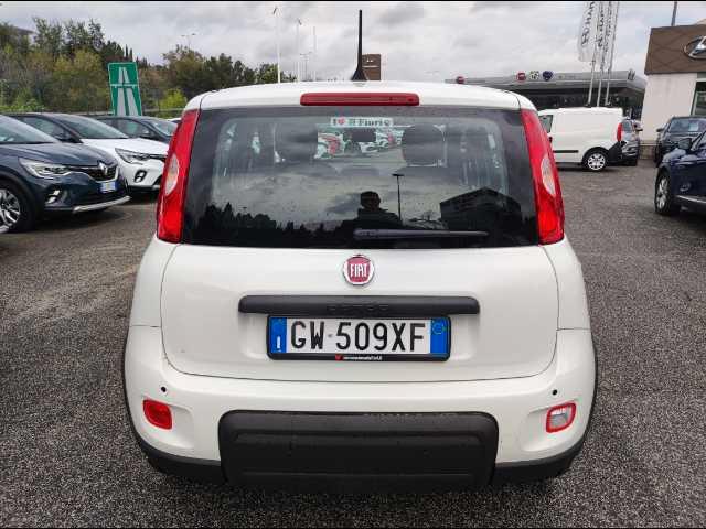 FIAT Panda 1.0 firefly hybrid s&s 70cv 5p.ti