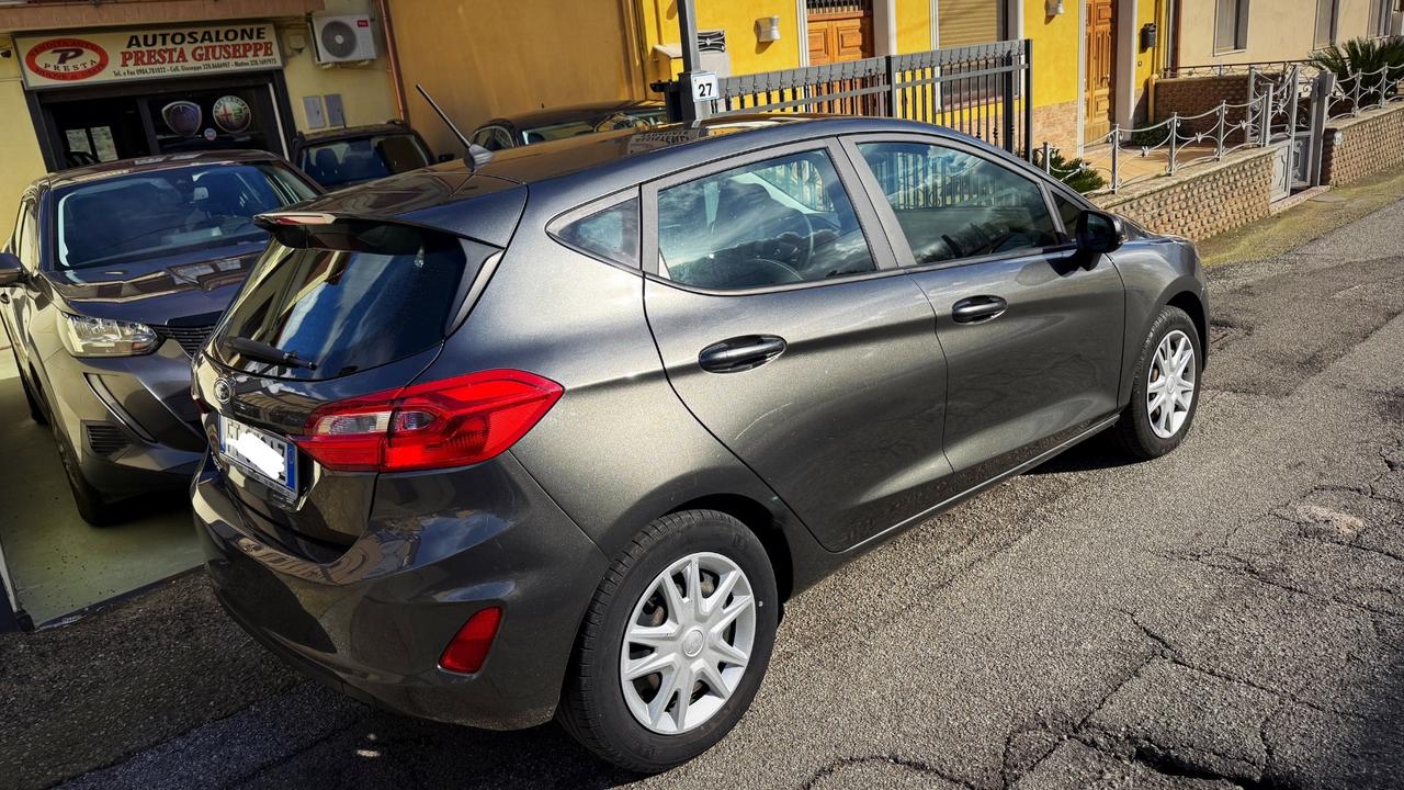 Ford Fiesta 1.5 Tdci 5P Business - 2019