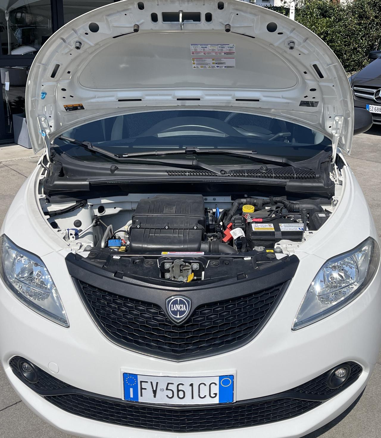 Lancia Ypsilon 1.2 5 porte Elefantino