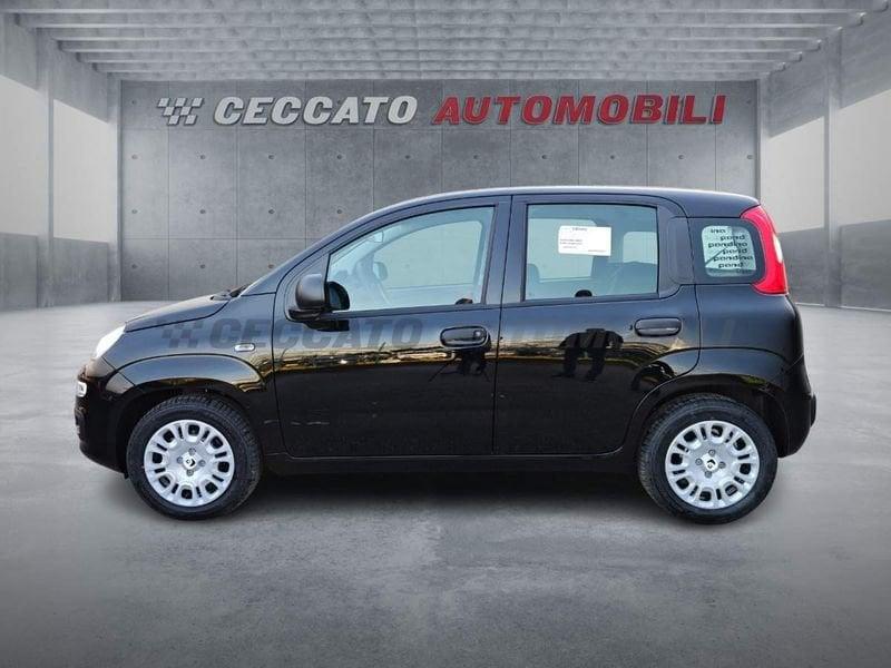 FIAT Pandina Pandina 1.0 65cv Hybrid Pop
