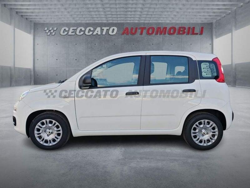 FIAT Panda Panda 1.0 70cv Hybrid Icon