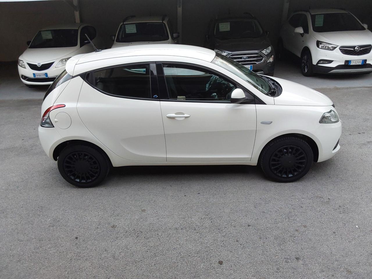 Lancia Ypsilon 1.2 69 CV Elefantino Blu