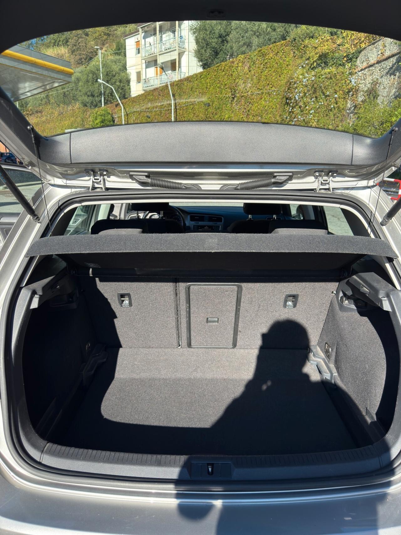 Volkswagen Golf Business 1.4 TSI 5p. 125CV Highline BlueMotion Technology