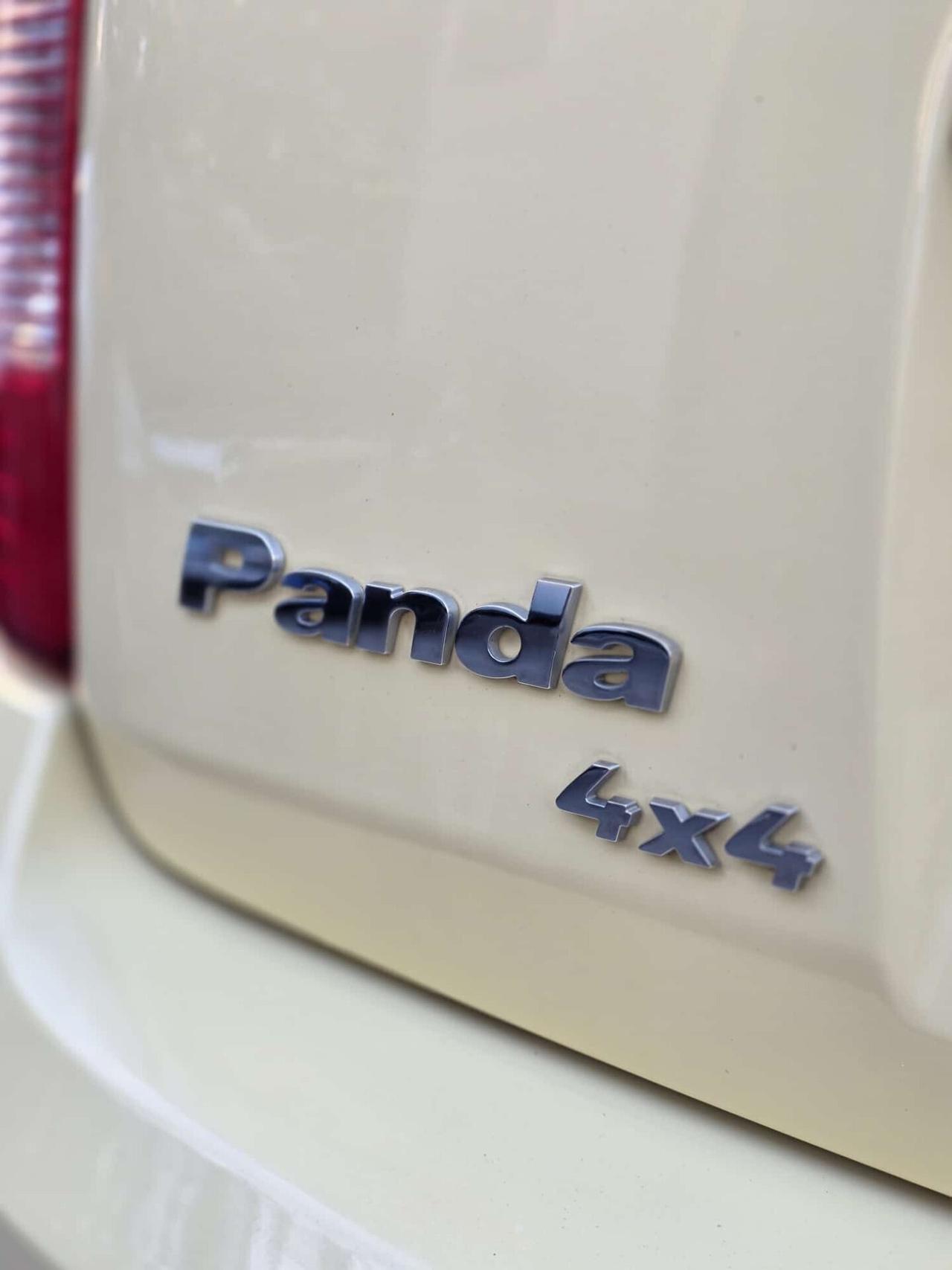 Fiat Panda 1.3 MJT 16V DPF 4x4 Climbing