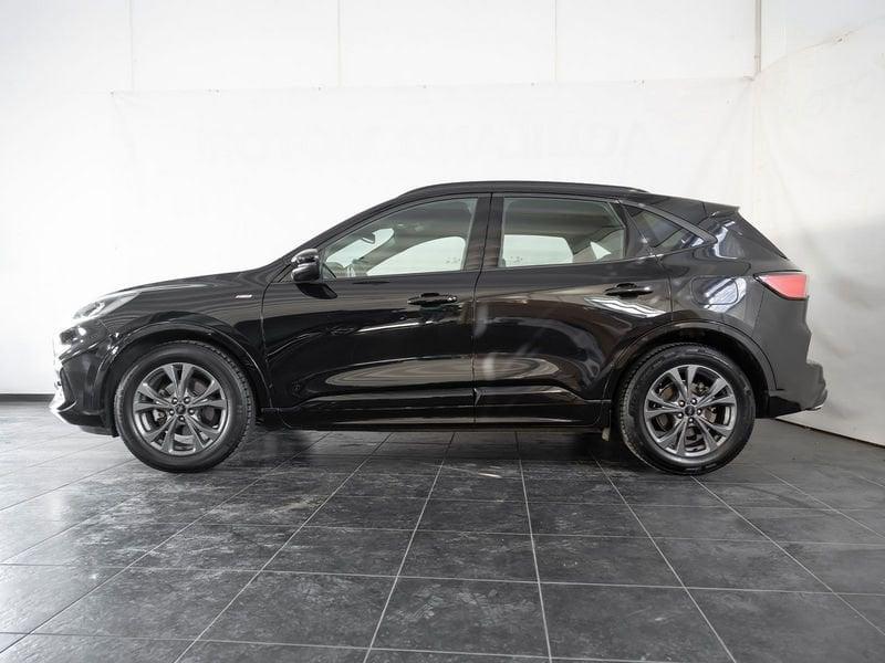 Ford Kuga Kuga 2.0 EcoBlue 120 CV aut. 2WD ST-Line