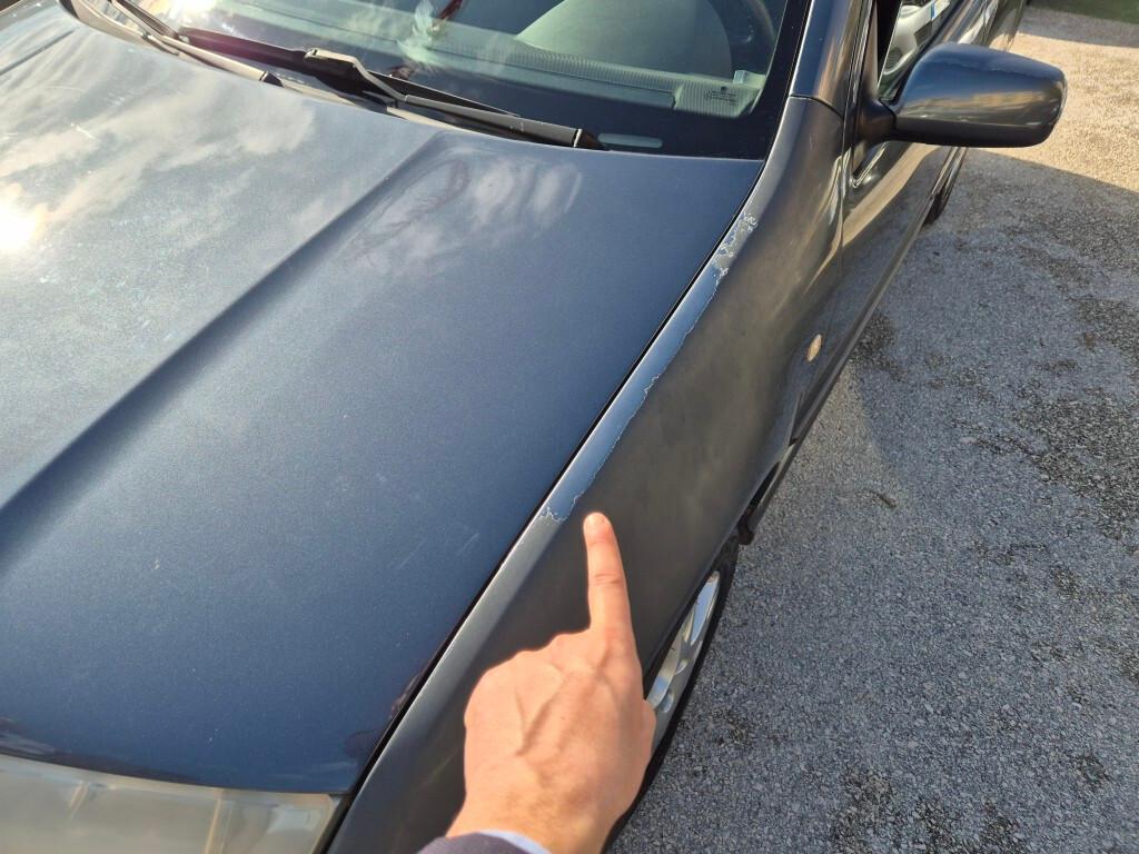 Skoda Fabia 1.4 TDI 75CV Wagon Elegance