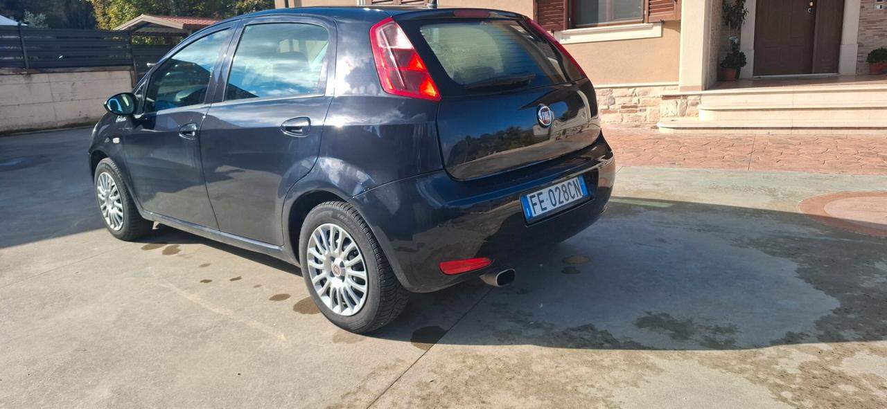 Fiat Punto 1.2 8V 5 porte Street