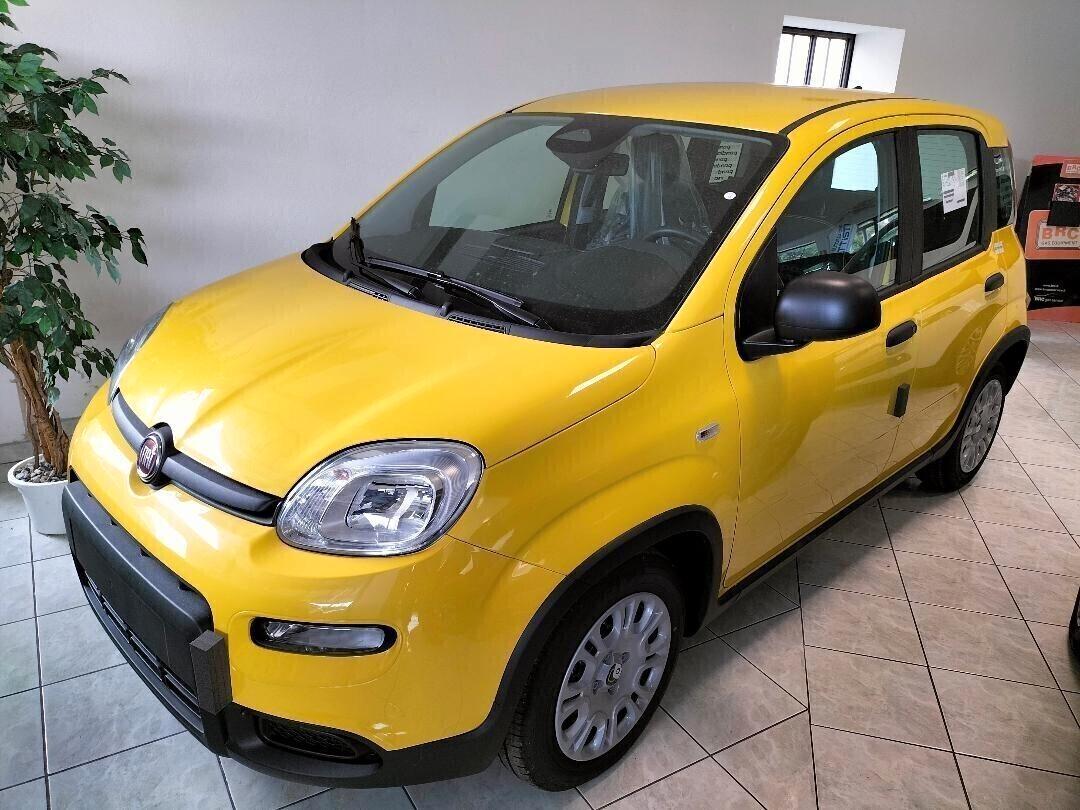 Fiat Panda Pandina 1.0 65 CV Hybrid POP FINANZ.+ ROTT.