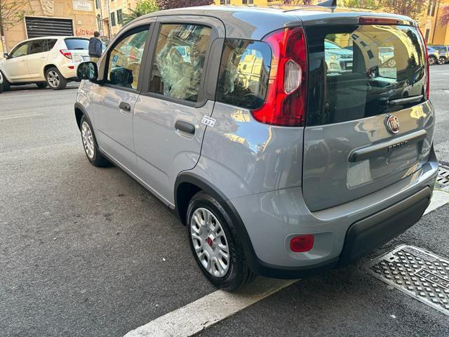 FIAT Panda 1.0 FireFly Hybrid -Pronta Consegna Nuovo Mod