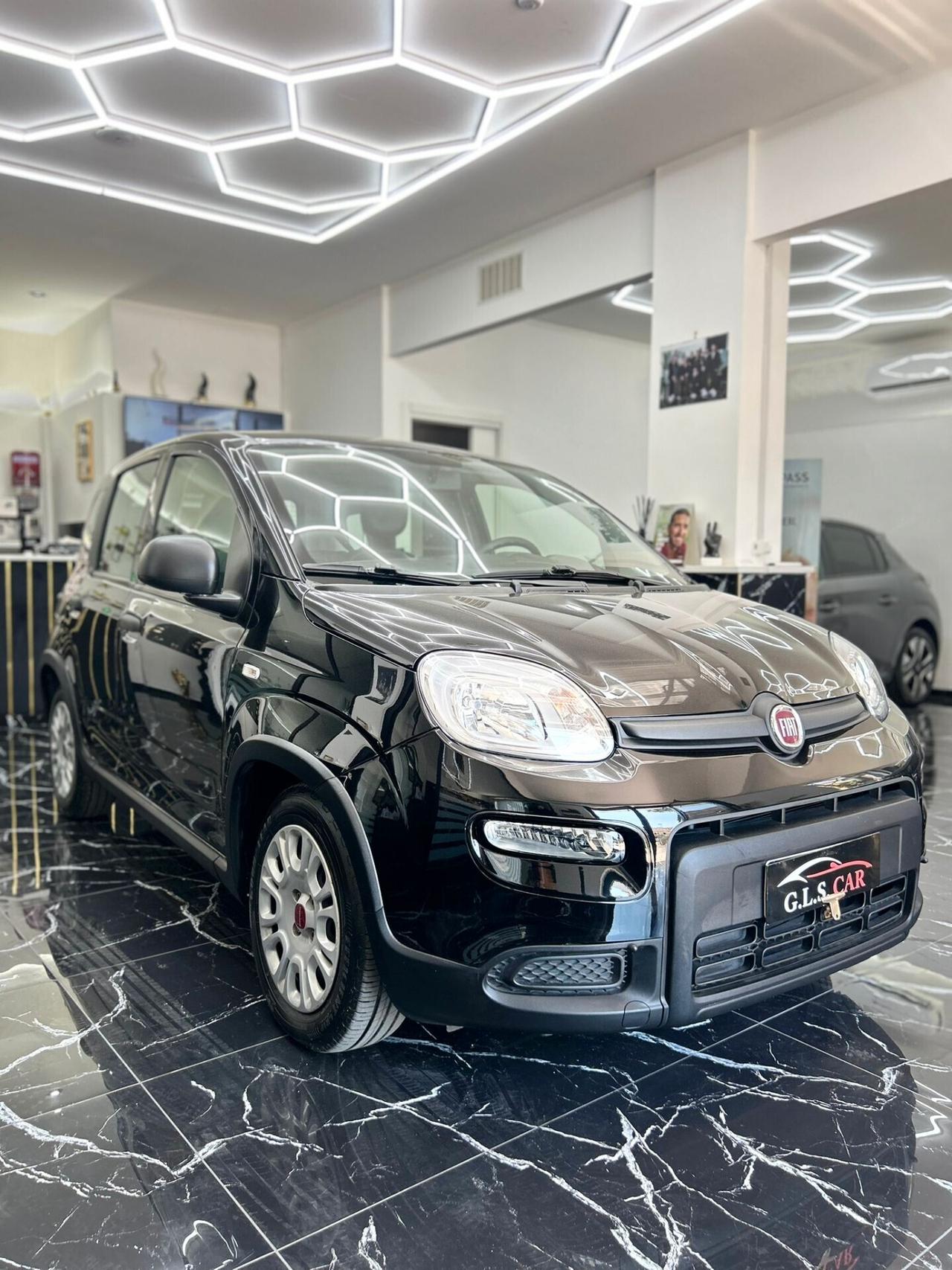 Fiat Panda 1.0 FireFly S&S Hybrid/benzina 100 cv City Cross
