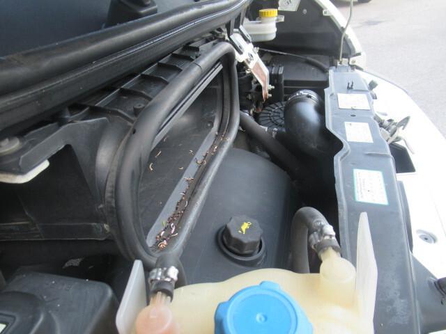 Fiat Ducato 2.3 Mjt 130cv 150.000 km Cinghia Nuova