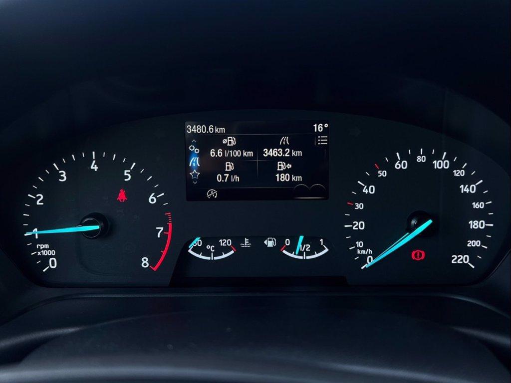 FORD Fiesta 1.0 Ecoboost Hybrid 125 CV 5 porte Active del 2024