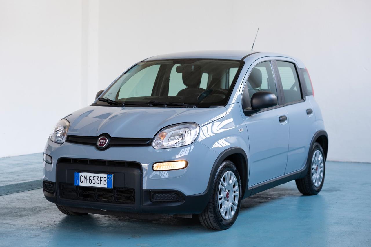 Fiat Panda 1.0 FireFly S&S Hybrid 70CV 2022 IVA ESPOSTA