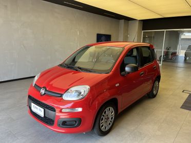 FIAT Panda III 2021 - Panda 1.0 firefly hybrid s&s 70cv