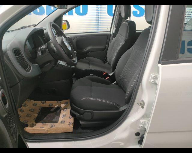 FIAT Panda 1.0 firefly hybrid Icon s&s 70cv 5p.ti