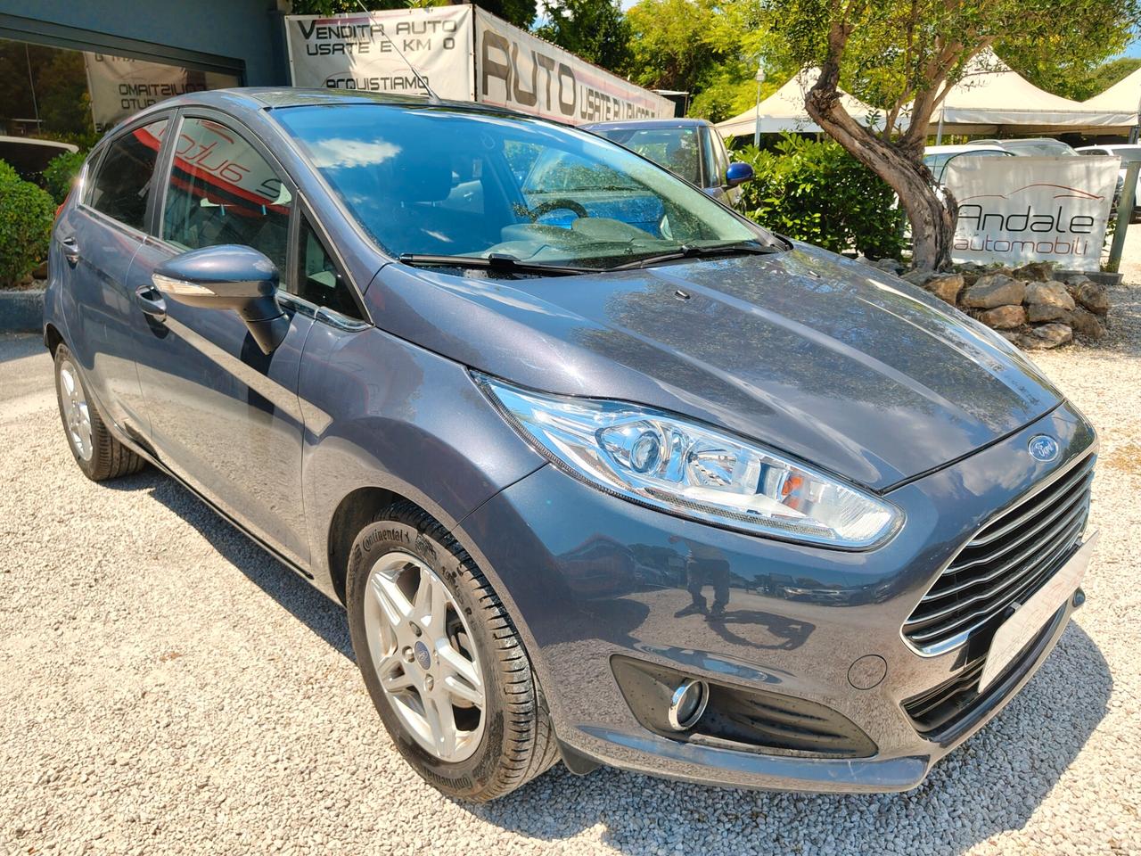 Ford Fiesta 1.6 TDCi 95CV 5 porte Titanium SOLO 90000KM