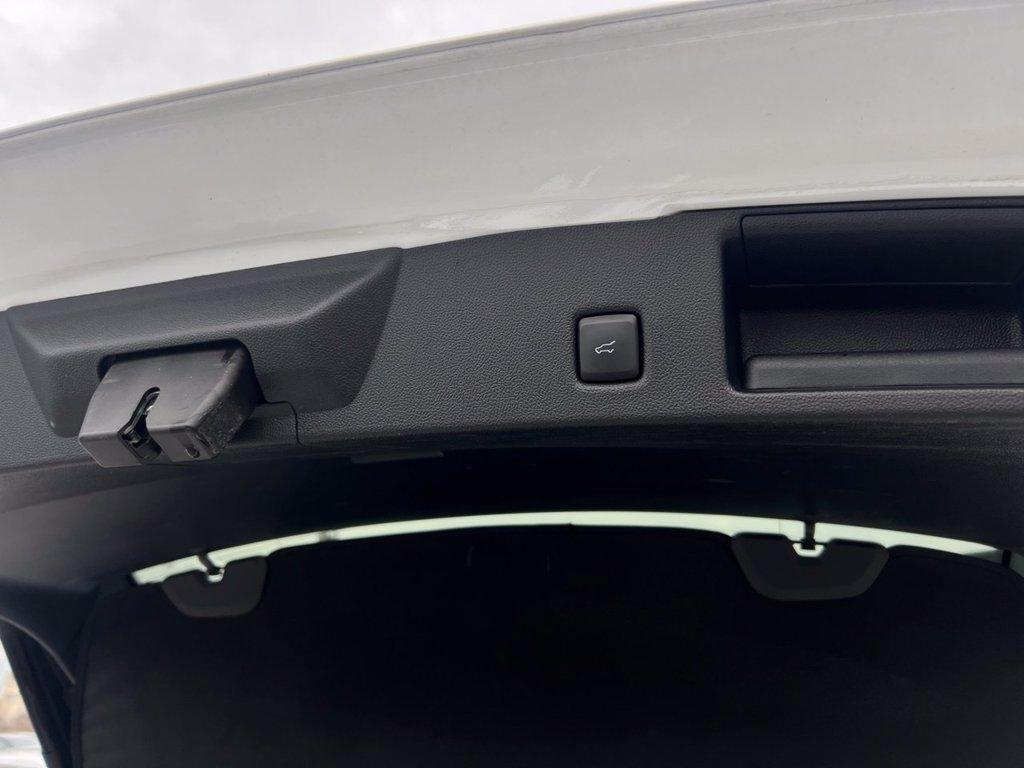 FORD Kuga 2.5 Plug In Hybrid 225 CV CVT 2WD ST-Line X del 2022