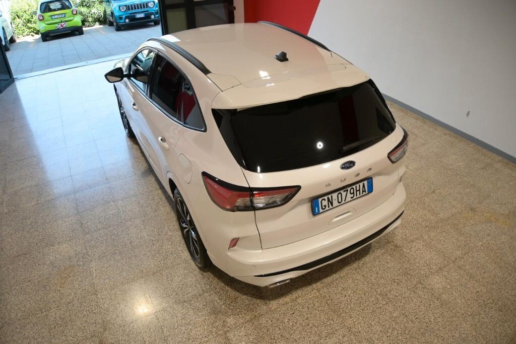 Ford Kuga 1.5 EcoBlue 120 CV aut. 2WD ST-Line