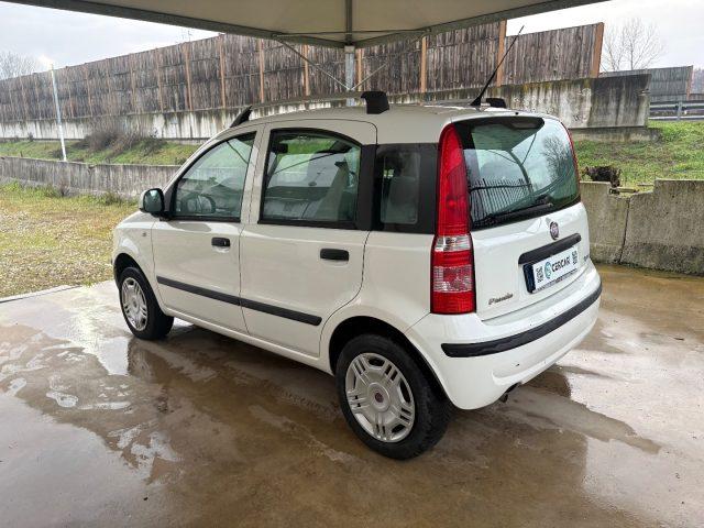 FIAT Panda 1.2 Dynamic BENZ/METANO OK NEOPATENTATI FARI FENDI