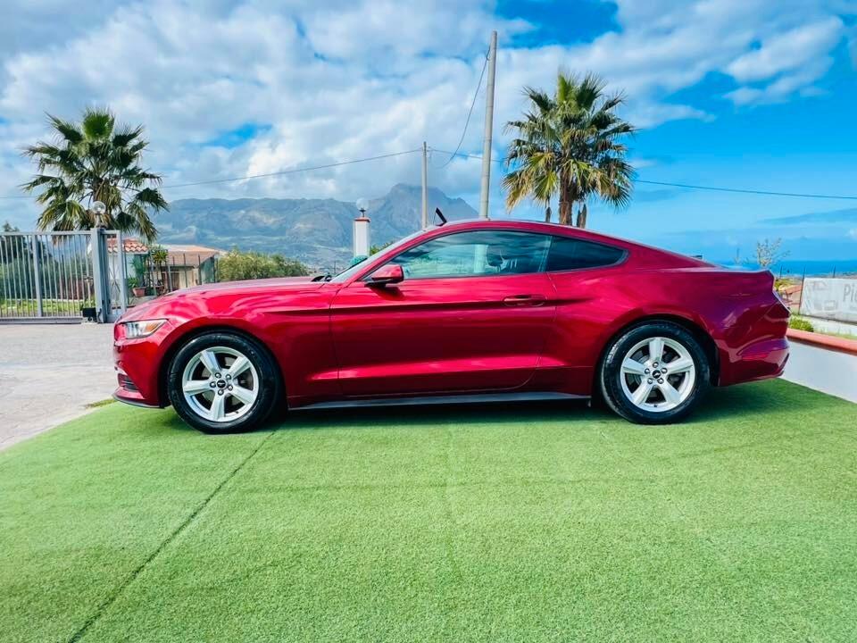 Ford Mustang Fastback 3.7 310CV