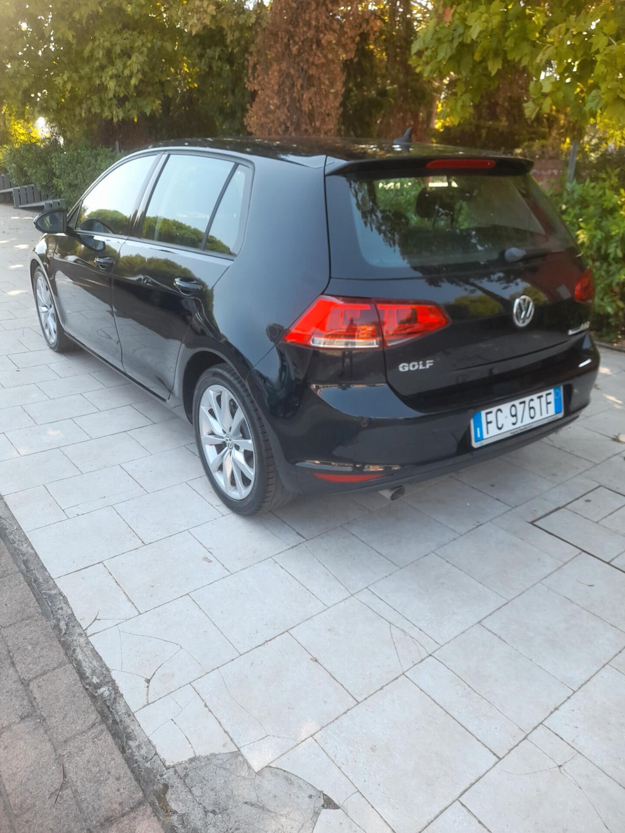 Volkswagen Golf 1.6 TDI 110 CV 5p. Highline