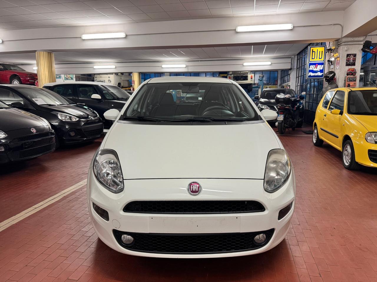 Fiat Punto 1.2 8V 5 porte Young