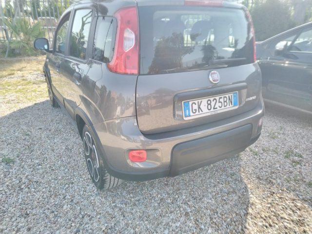 FIAT Panda 1.0 FireFly S&S Hybrid City Life