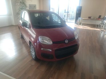 FIAT Panda NEW My25 1.0 70cv Hybrid Panda