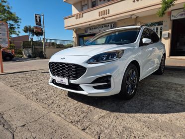 Ford Kuga 2.5 Full Hybrid 190 CV CVT 2WD ST-Line