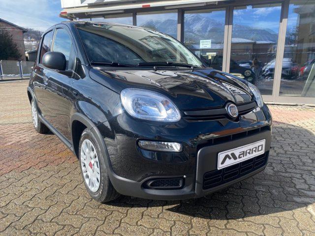 FIAT Panda 1.0 MILD- Hybrid VETRI OSCURATI