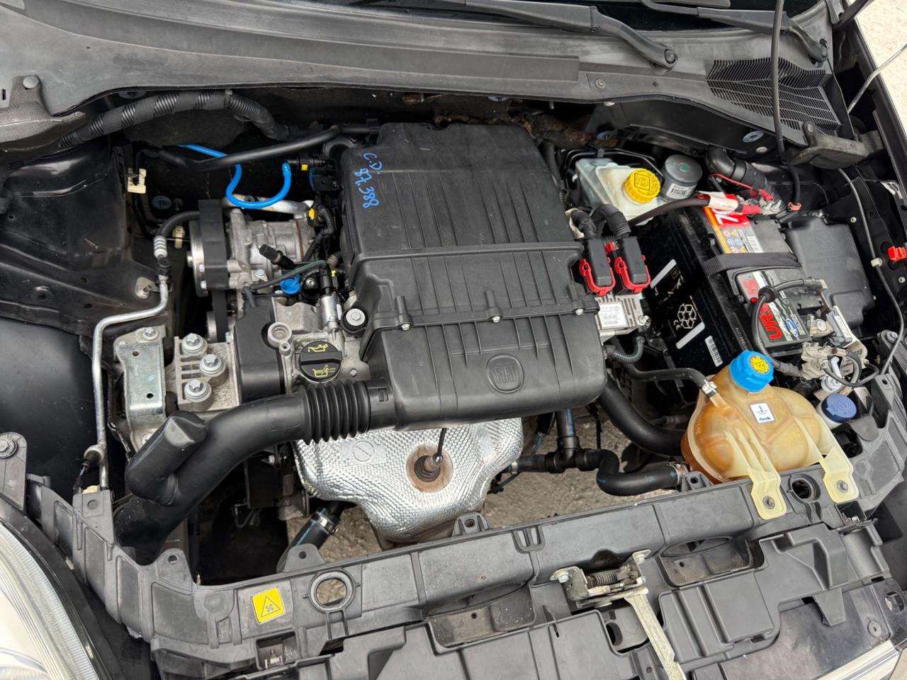 Fiat Punto Evo 1.2 5 porte Active Neopatentati