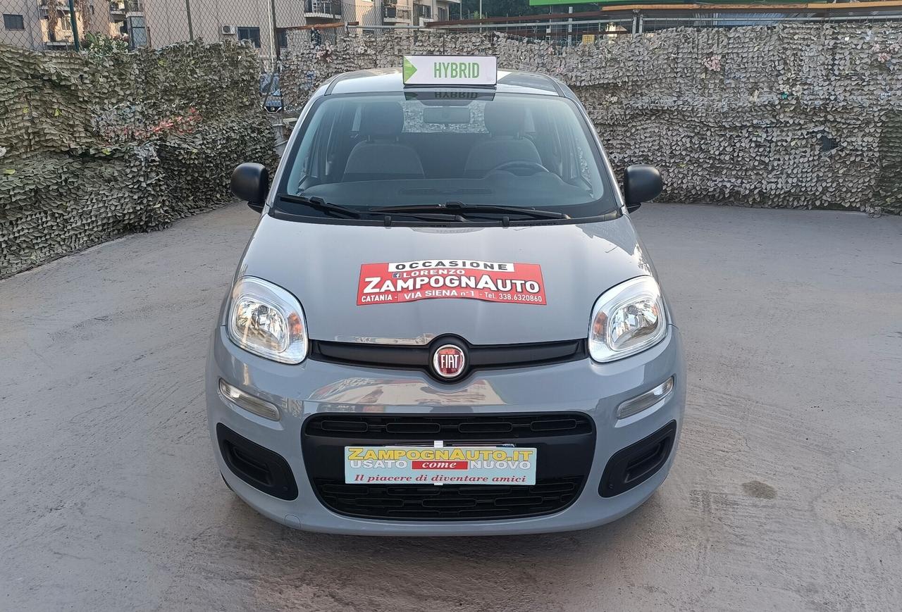 Fiat Panda 1.0 FireFly S&S Hybrid 2021 ZAMPOGNAUTO CT