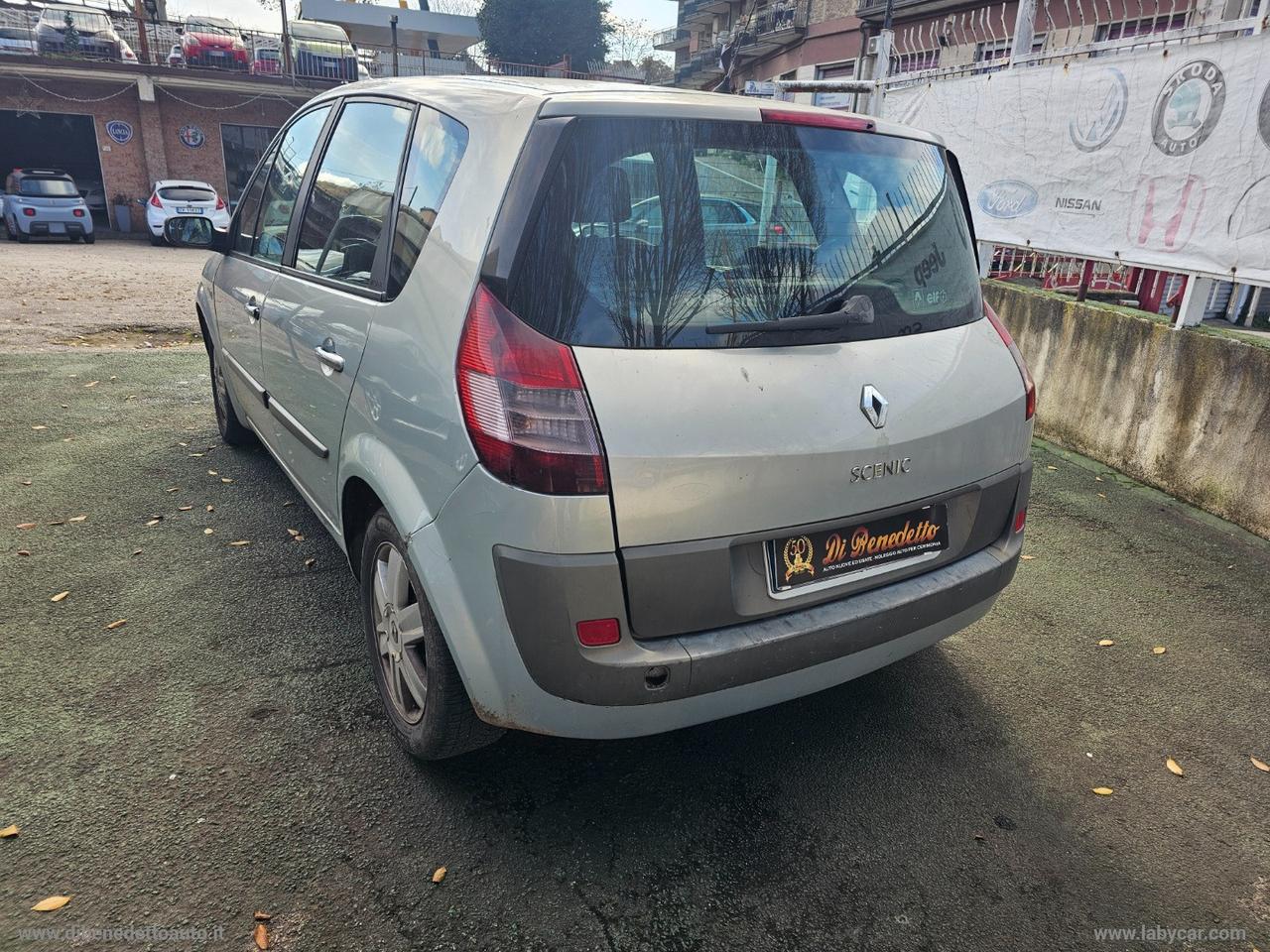 RENAULT Scénic 1.5 dCi 82 CV Confort Dynamique