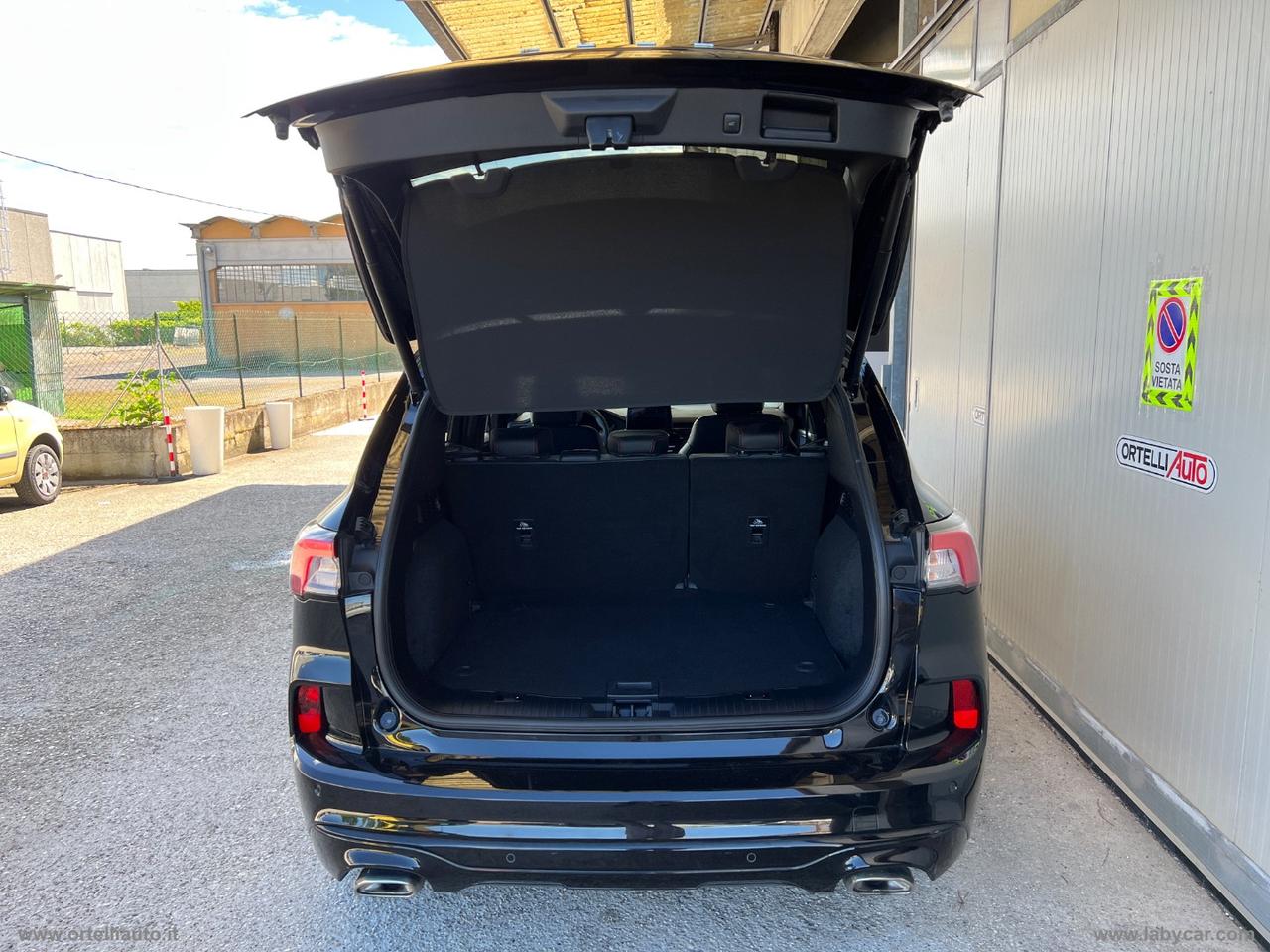 Kuga 1.5 EcoBlue 120 CV aut. 2WD ST-Line N1 AUTOCARRO