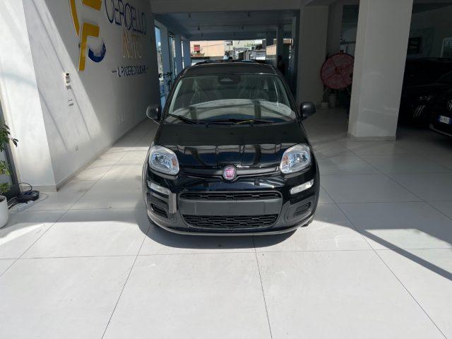 FIAT Panda 1.0 FireFly S&S Hybrid Icon tua da ?149,,00