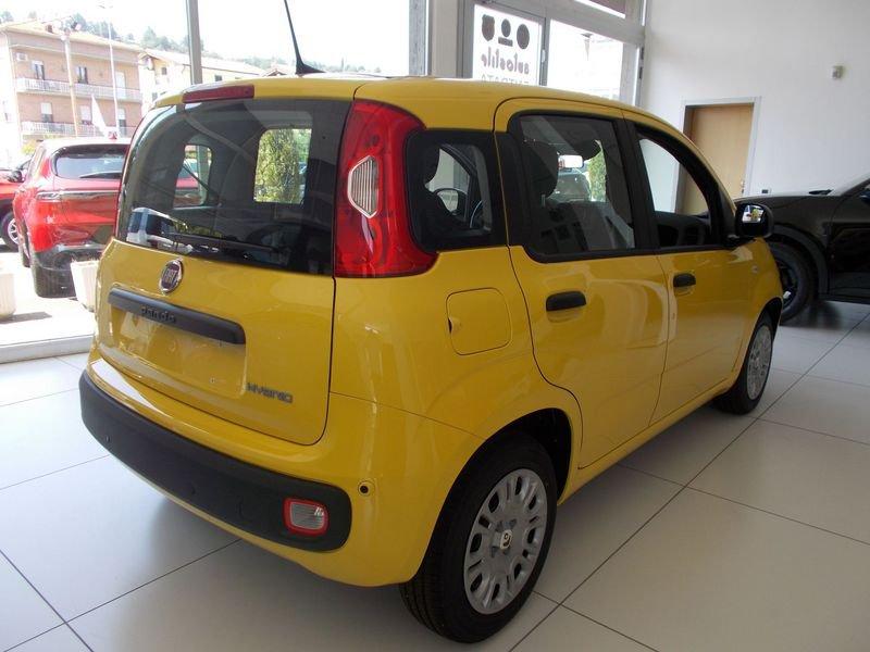 FIAT Pandina Pandina 1.0 FireFly 65 CV Hybrid Pop 338.7575187 MASSARI MARCO