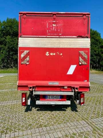 Ford 350 2.0 Tdci 130cv entry L3 Cassone + Sponda Post