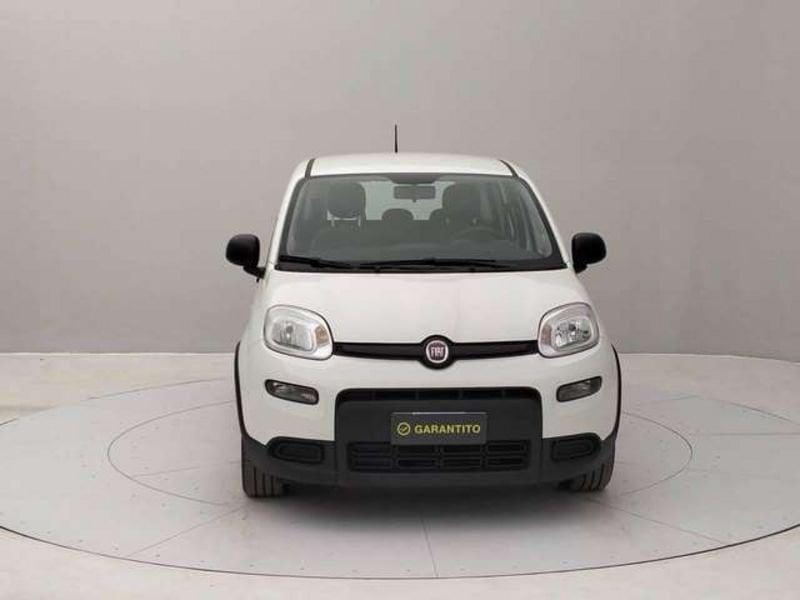 FIAT Panda 1.0 firefly hybrid City Life s