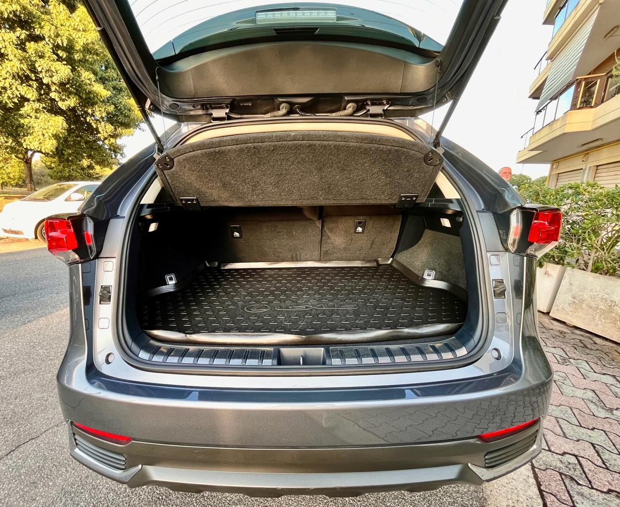 Lexus NX 300h Hybrid 4WD Business