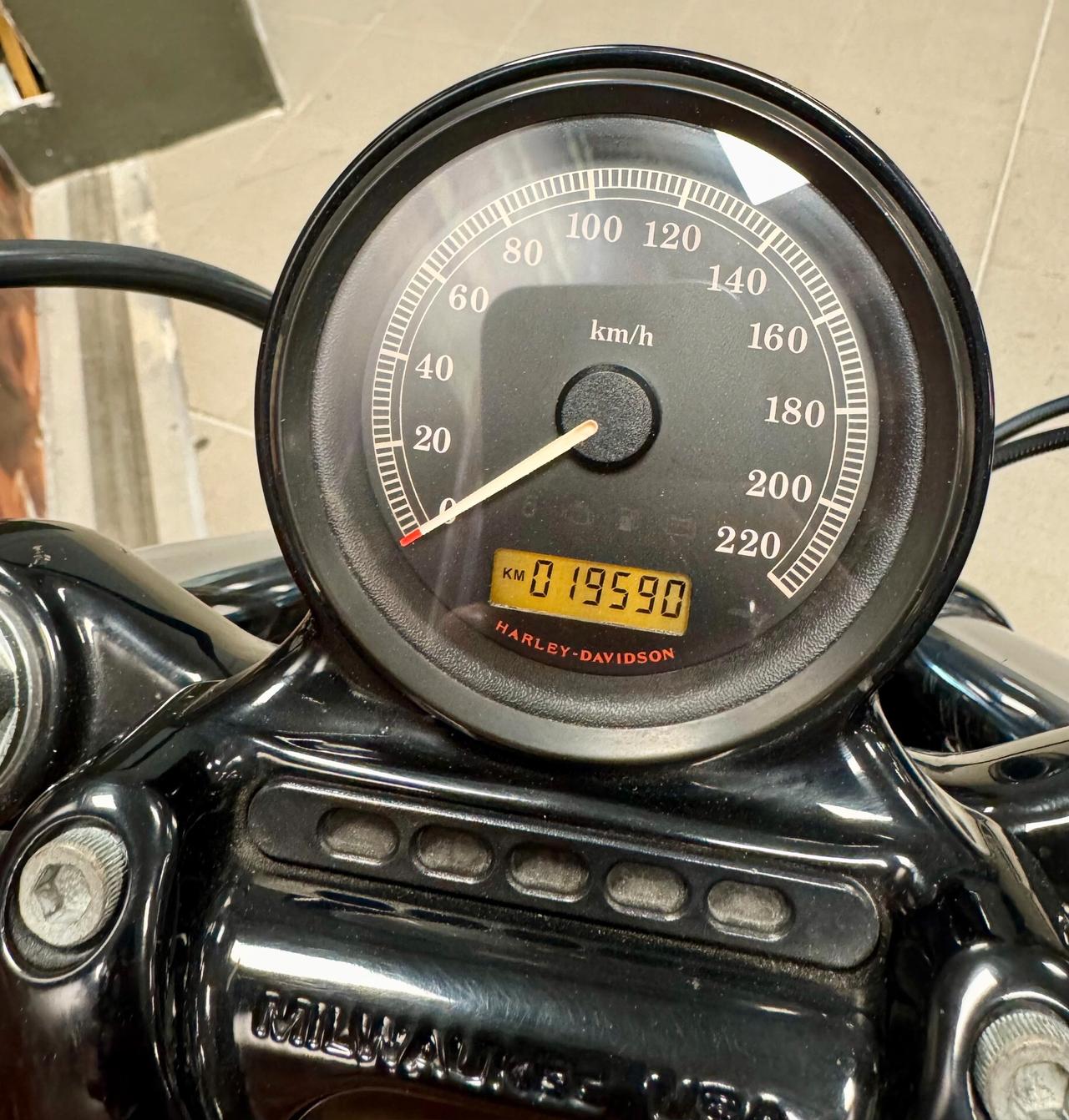 Harley-davidson 1200 Sportster Forty-Eight