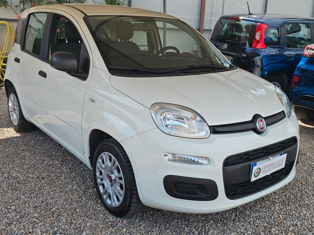 Fiat Panda 1.2 Easy