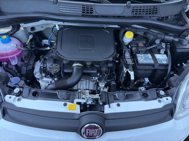 FIAT Pandina Pandina 5p 1.0 FireFly 65cv S&S 6m Hybrid Icon
