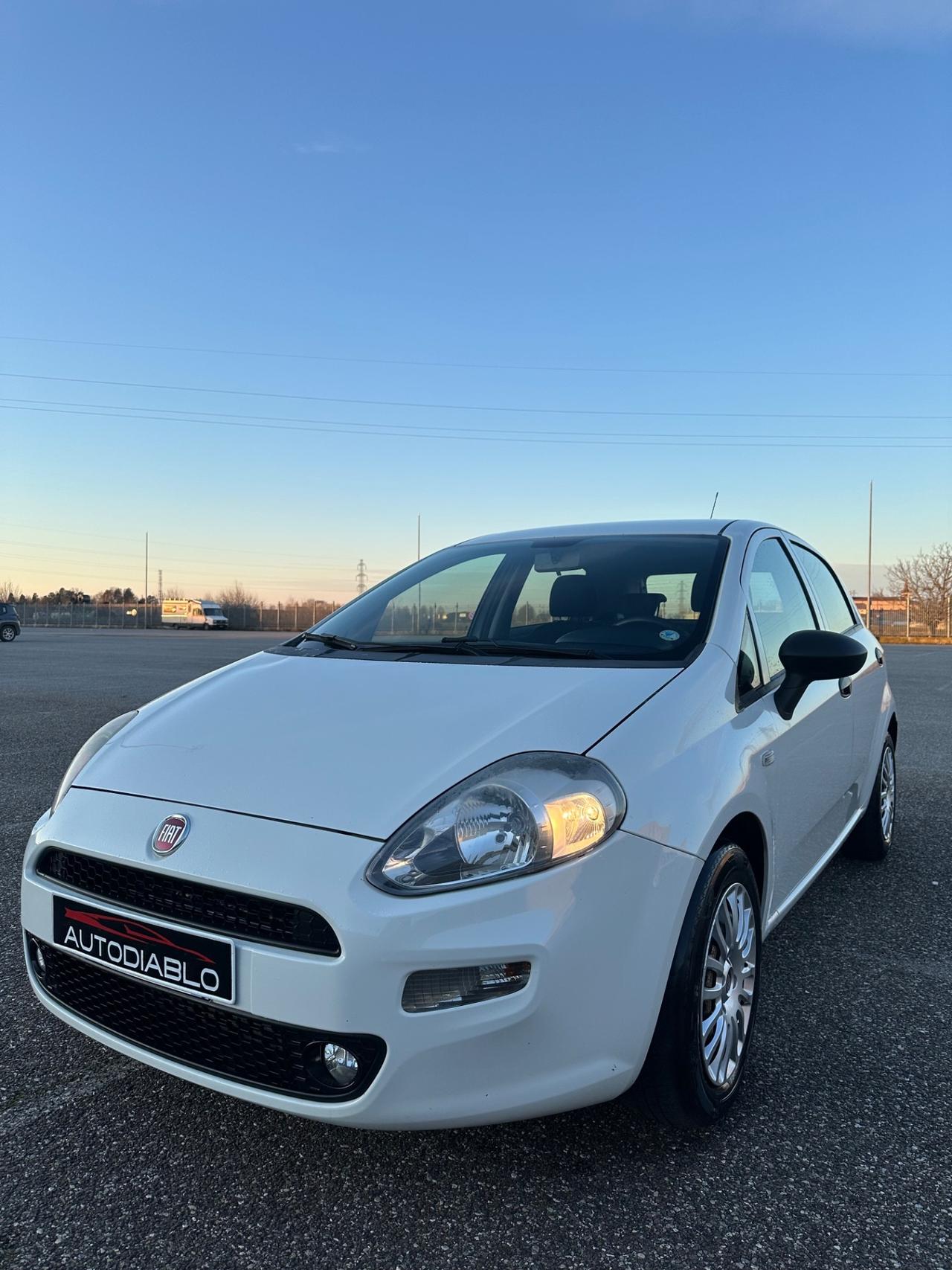 Fiat Punto 1.3 MJT 95CV S&S 5 porte Van 4 posti N1