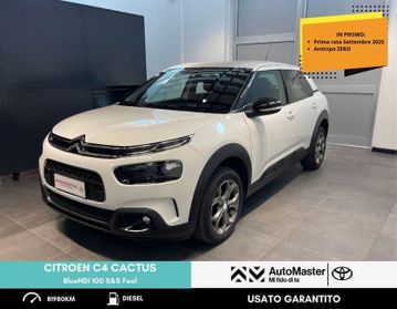 Citroën C4 Cactus BlueHDi 100 S&S Feel