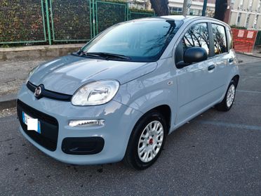 Fiat Panda Hybrid GARANZIA - 6 marce - 5 posti omologata