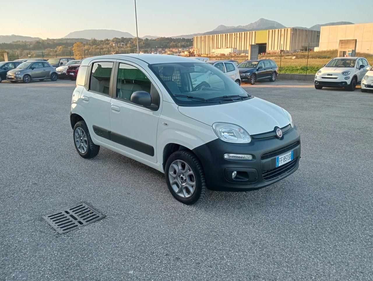 Fiat Panda 1.3 MJT 4x4 Van 2 posti