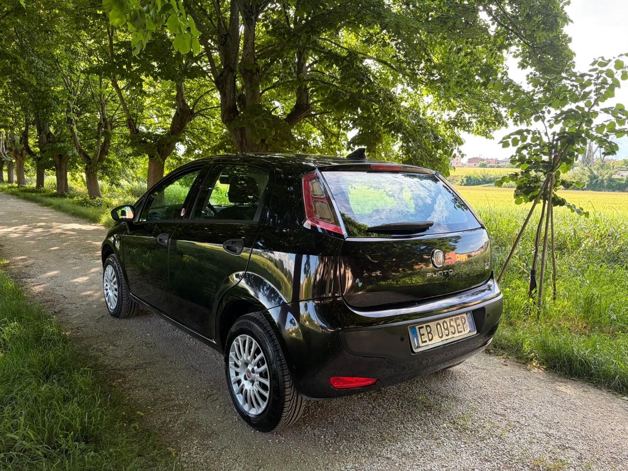 Fiat Punto Evo 1.4 5 porte Natural Power