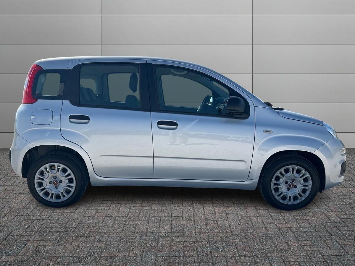 FIAT Panda 3ª serie - Panda 1.2 Lounge